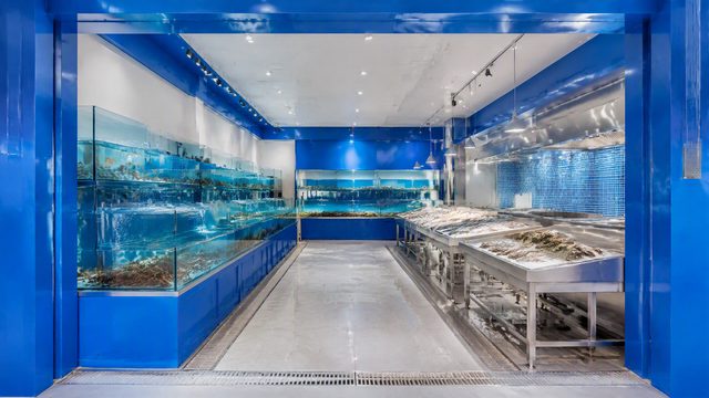 seafood案例实拍